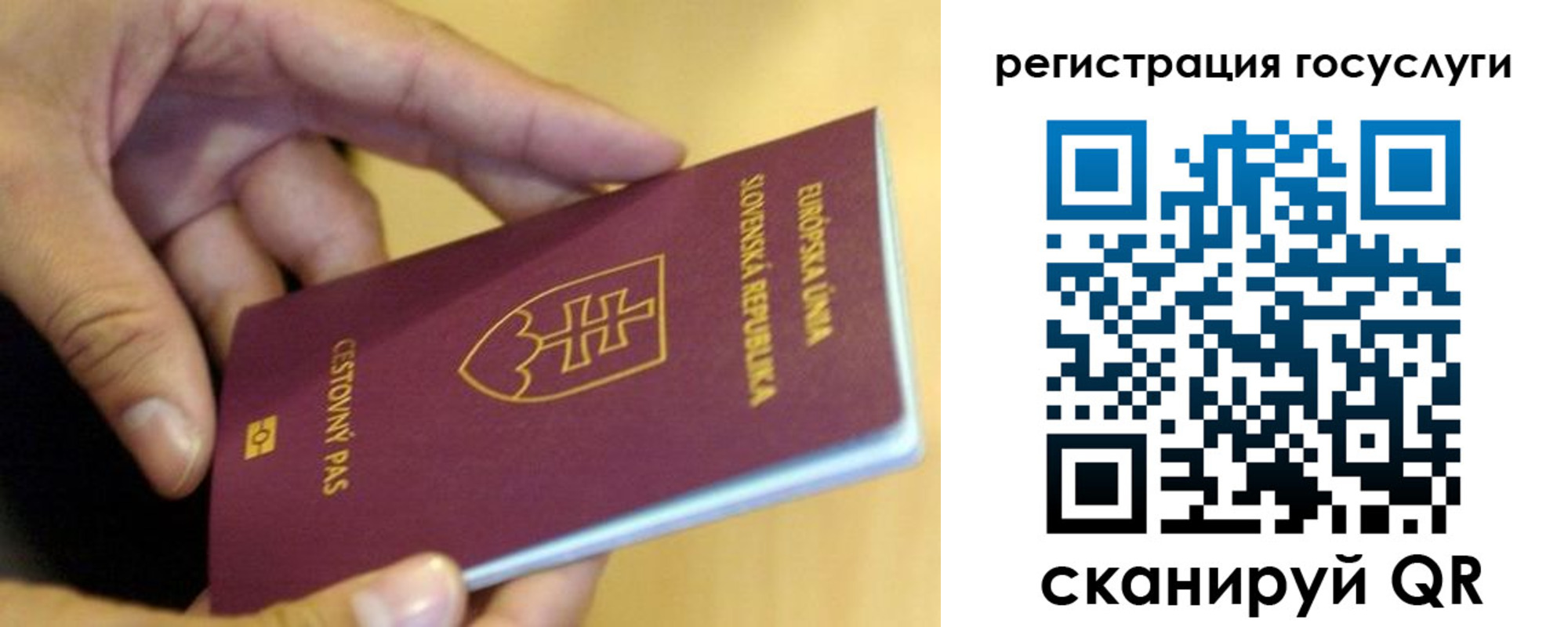 прописка в квартире в Артёме